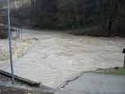 montone